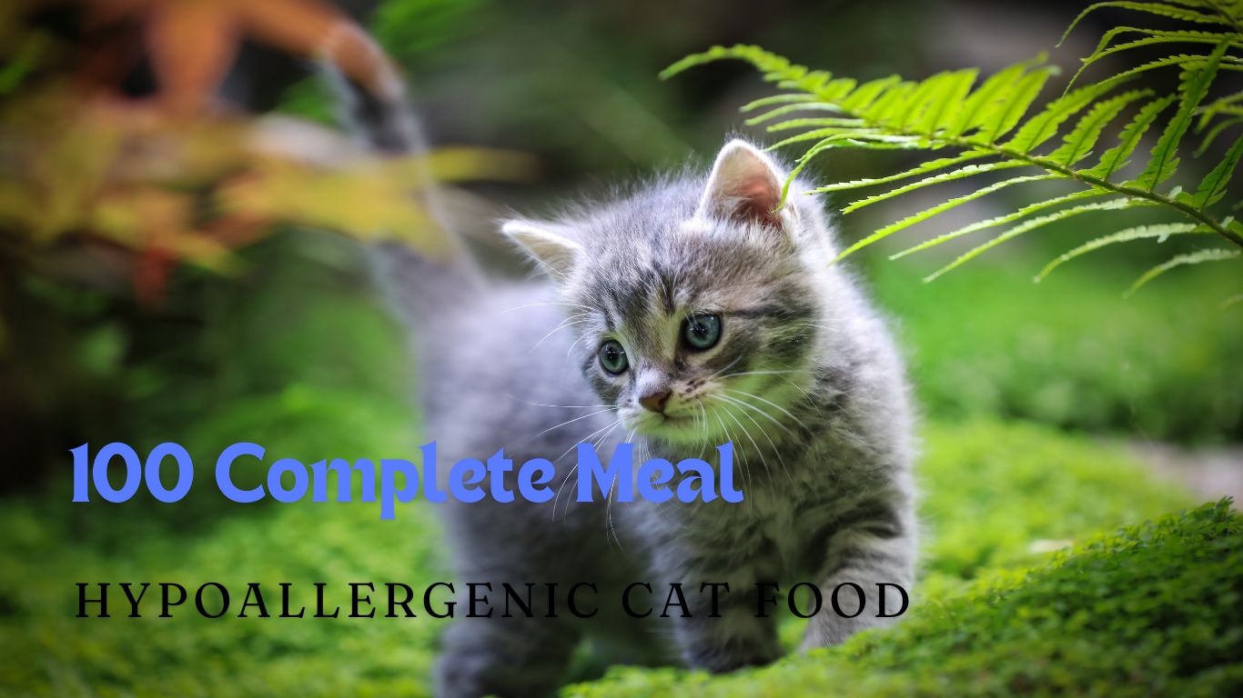 100 Complete Meal Hypoallergenic Cat Food