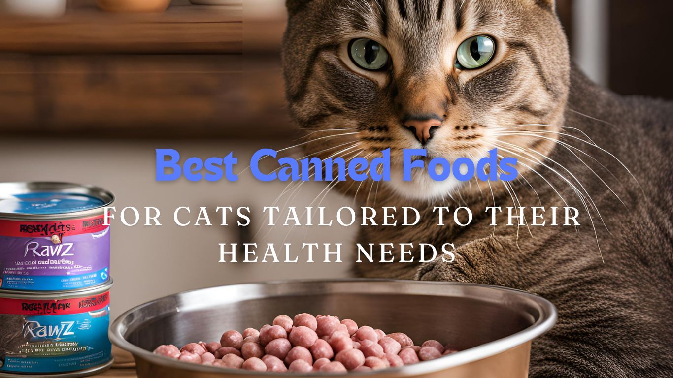 Best Canned Foods for Cats