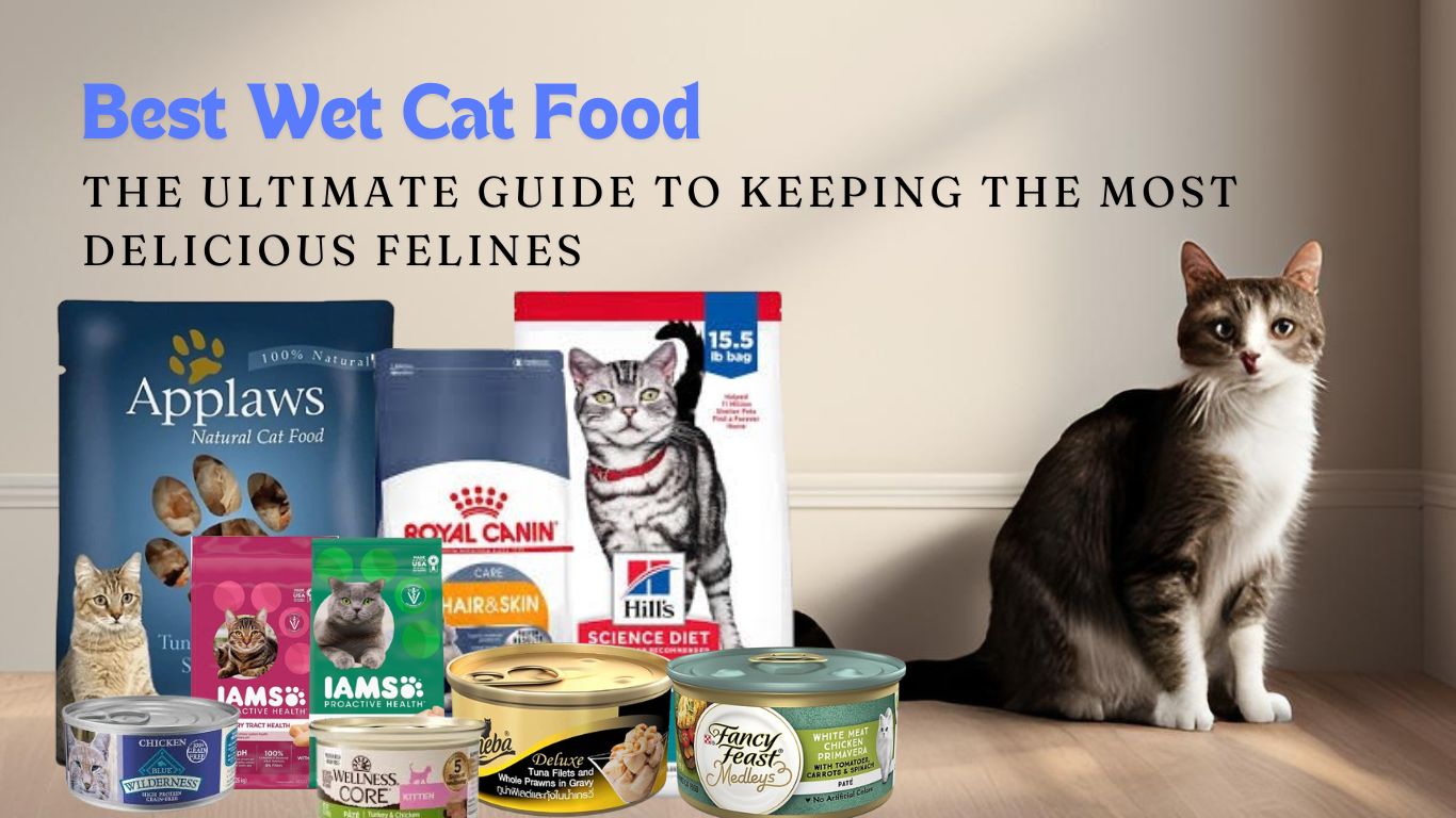 Best Wet Cat Food