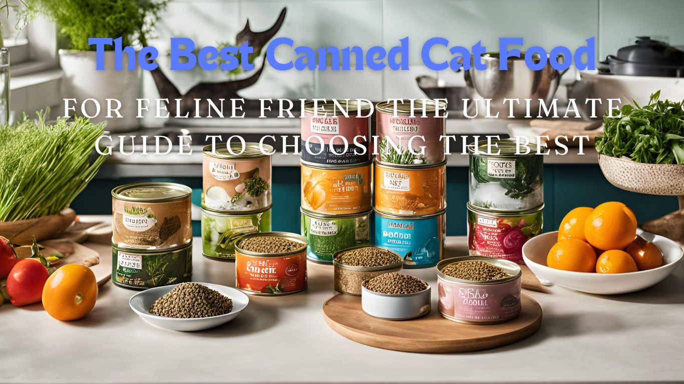 canned cat food