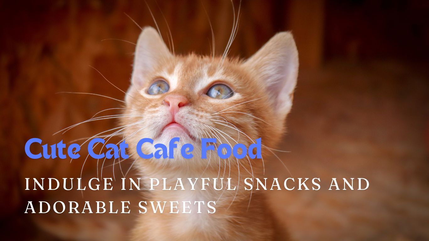 Cat Cafe Food