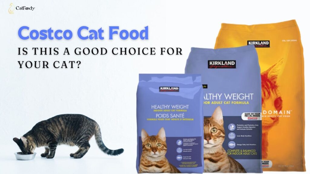 Costco Cat Food