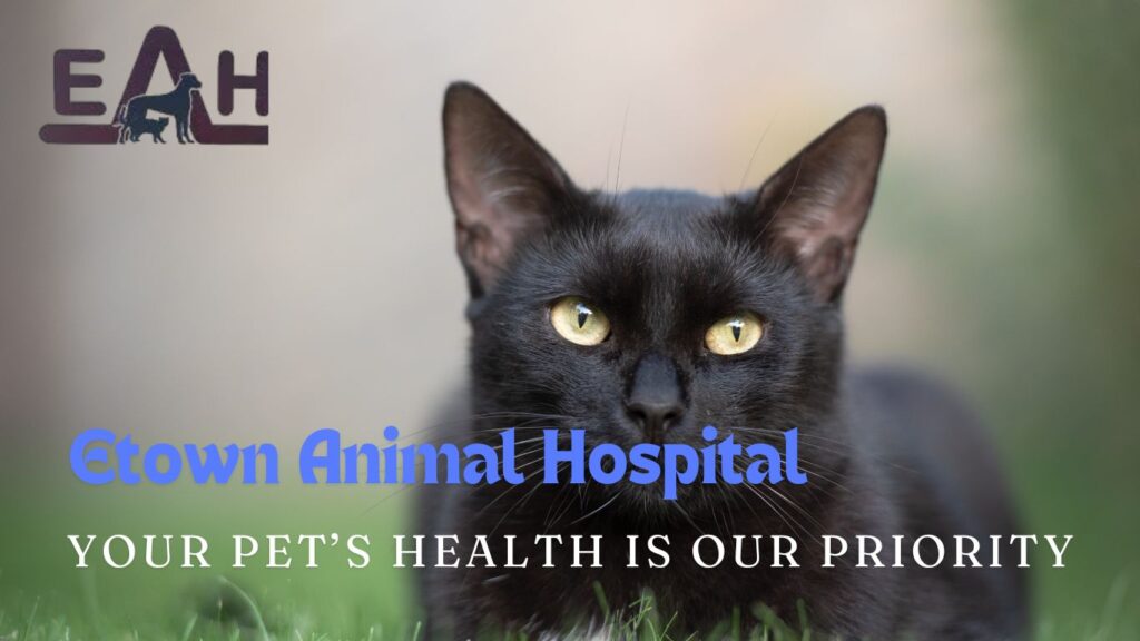 Etown Animal Hospital