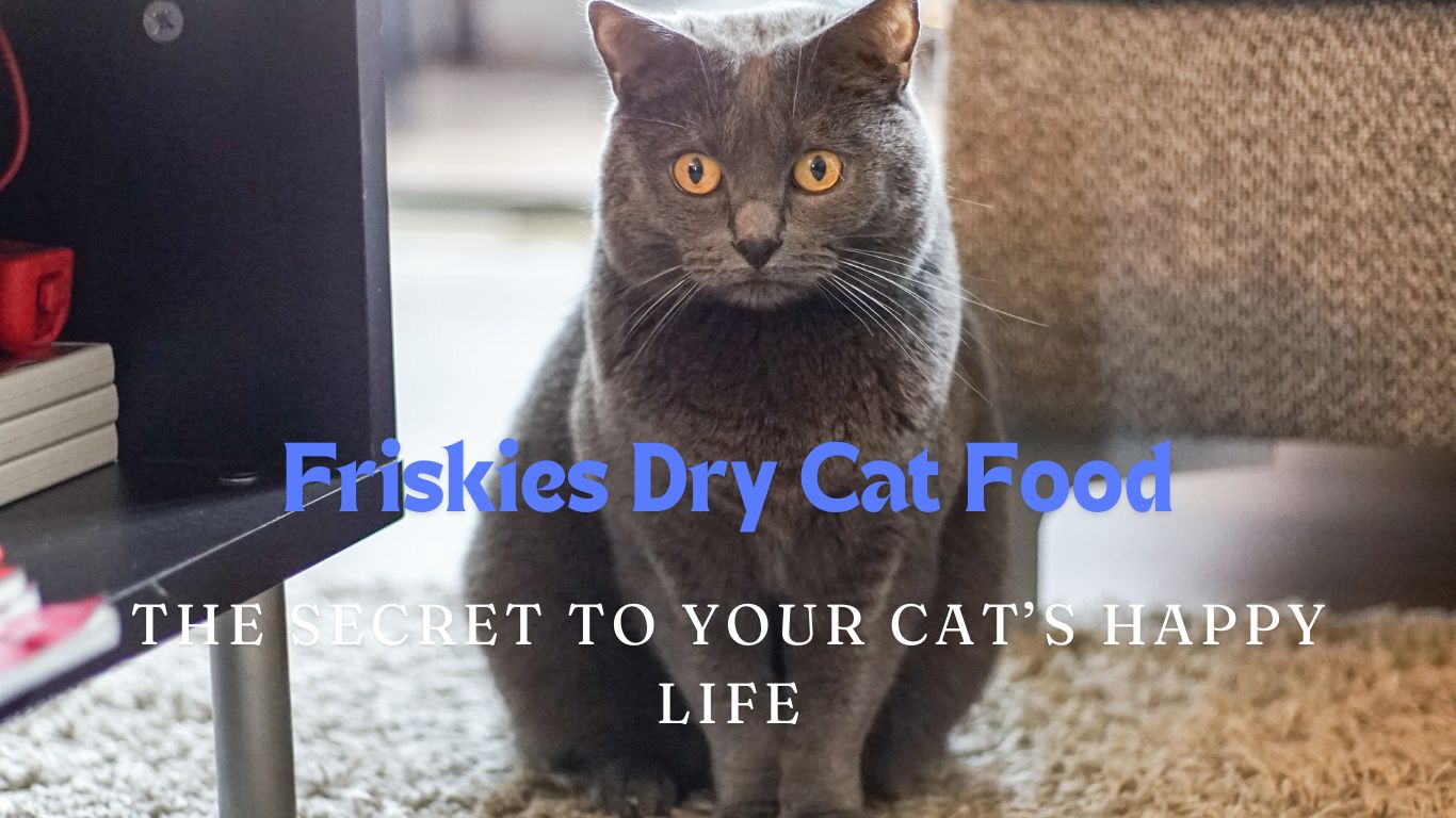 Friskies Dry Cat Food