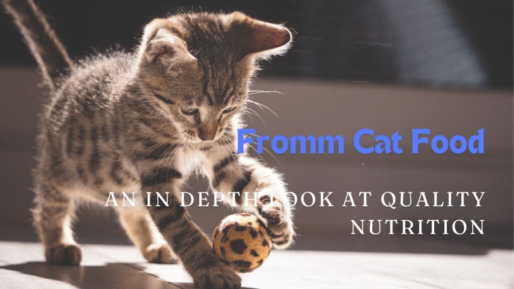 Fromm Cat Food