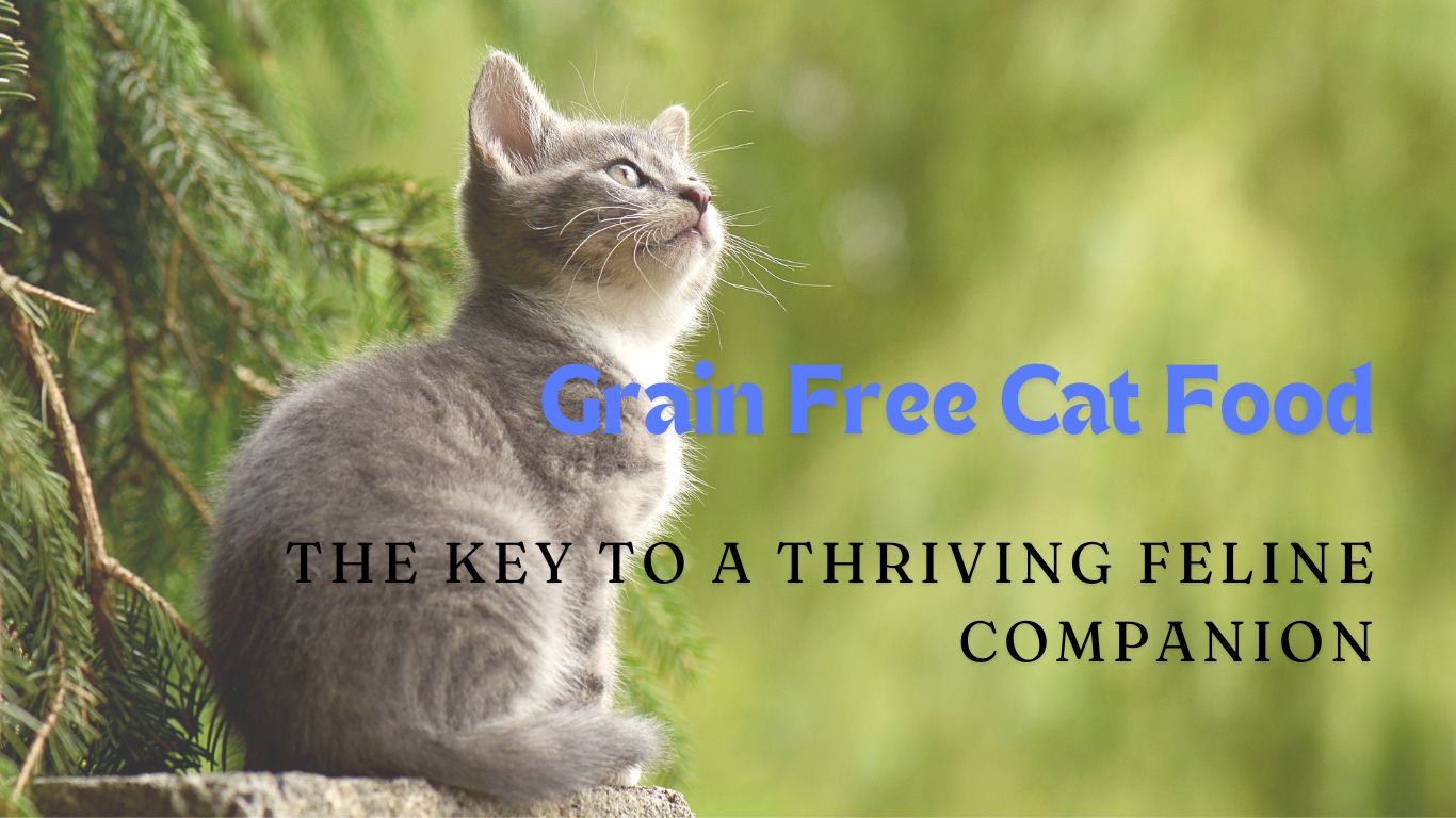 Grain Free Cat Food