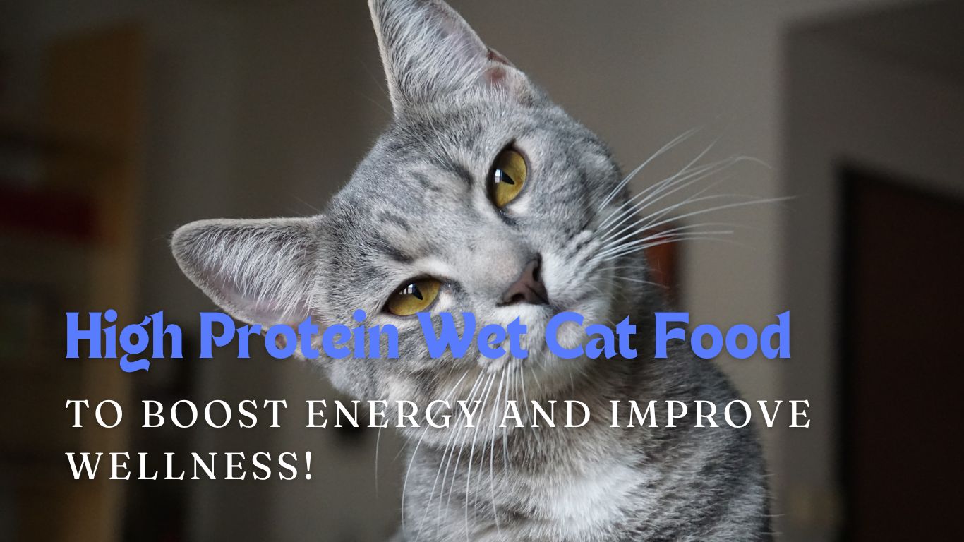 High Protein Wet Cat Food