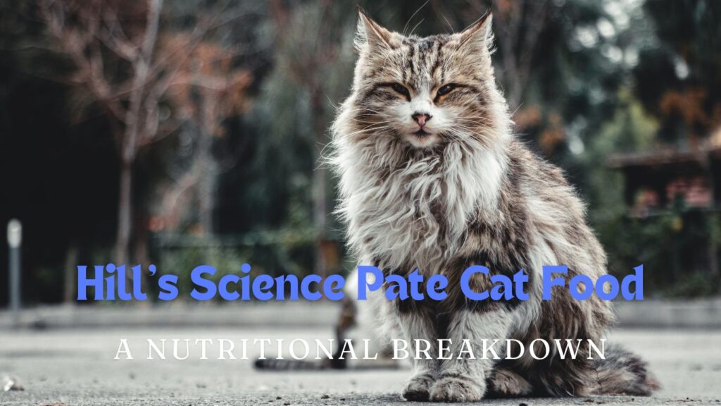 Hill's Science Pate Cat Food