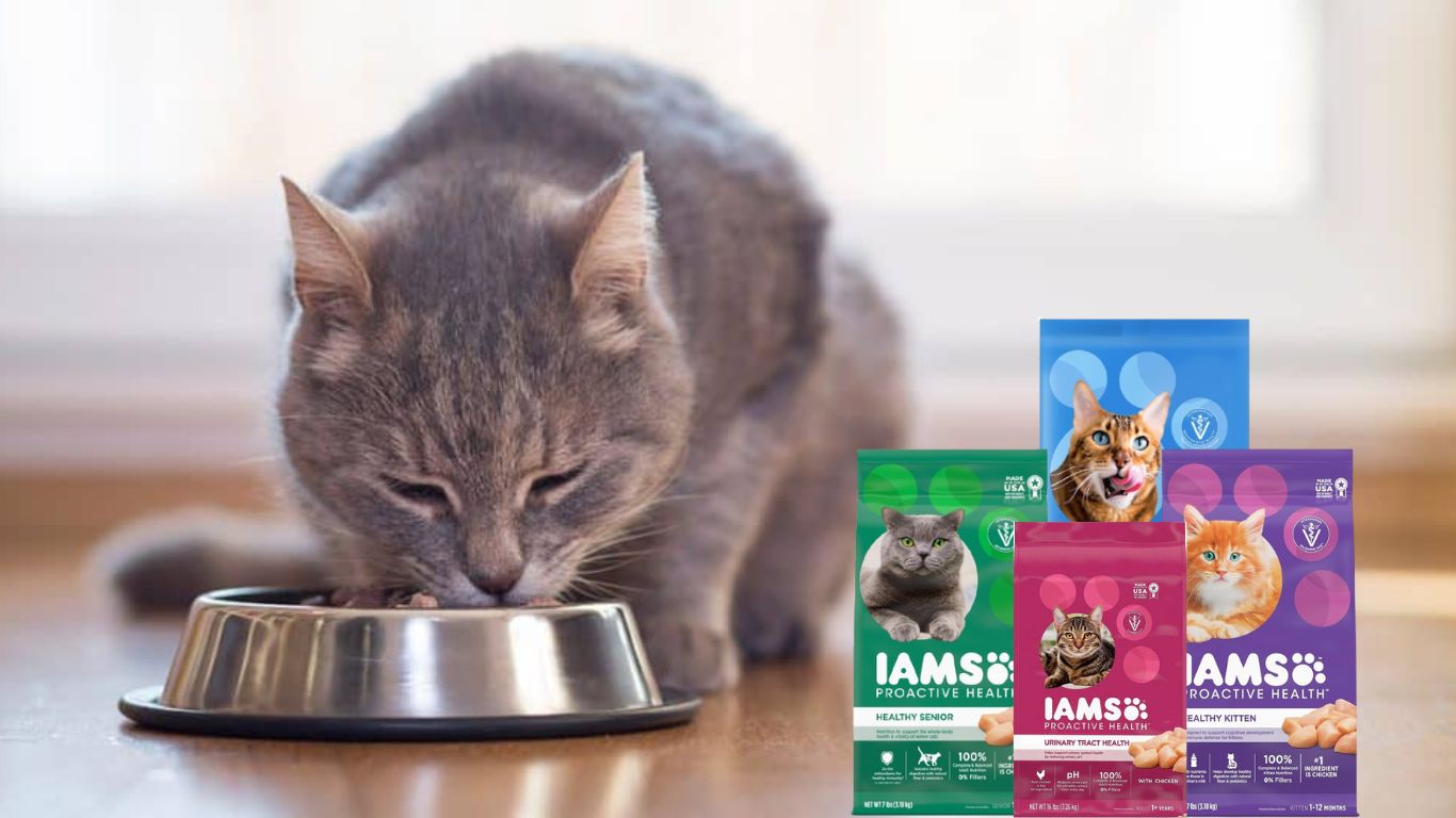 IAMS Cat Food