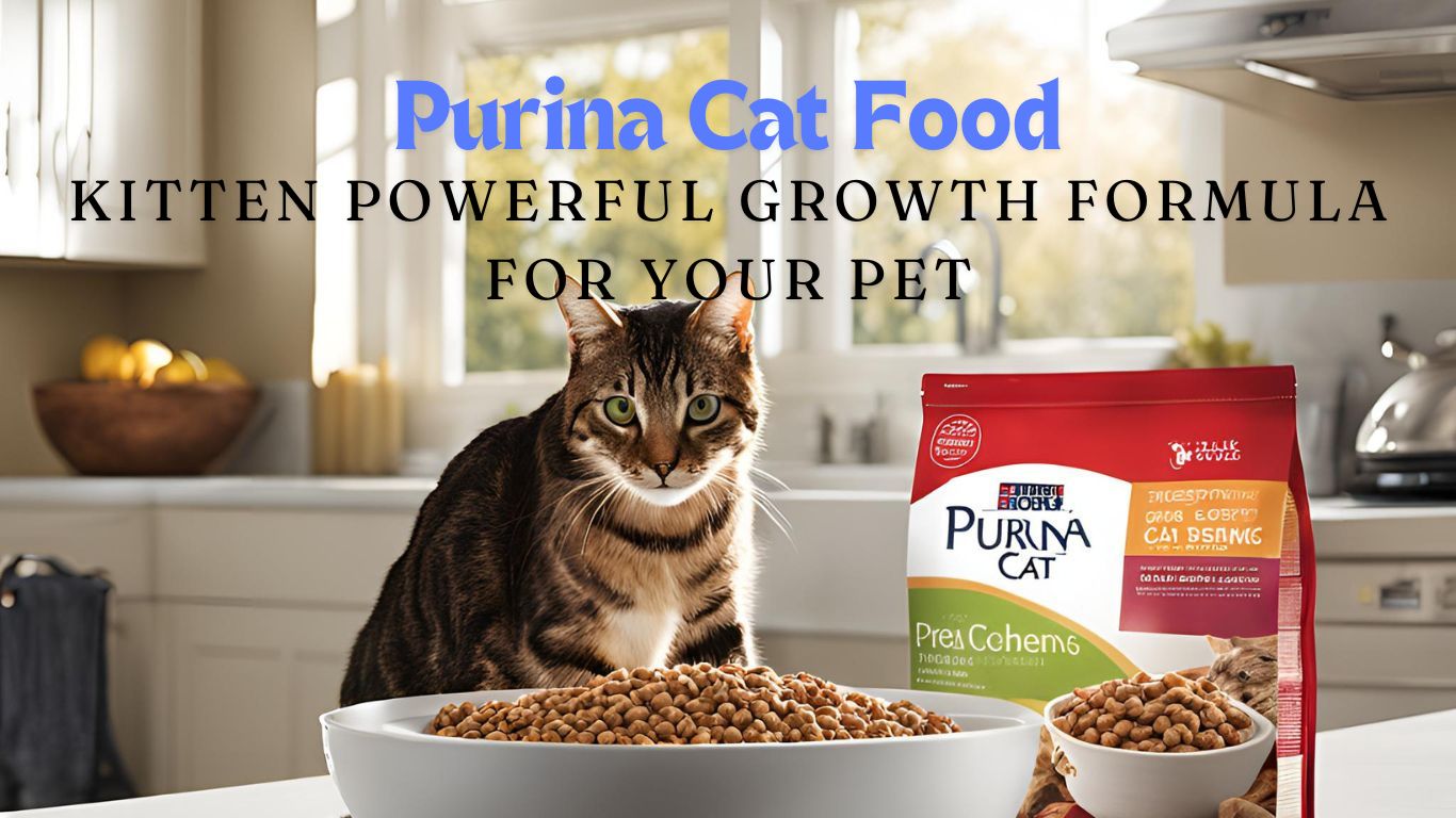 Purina Cat Food