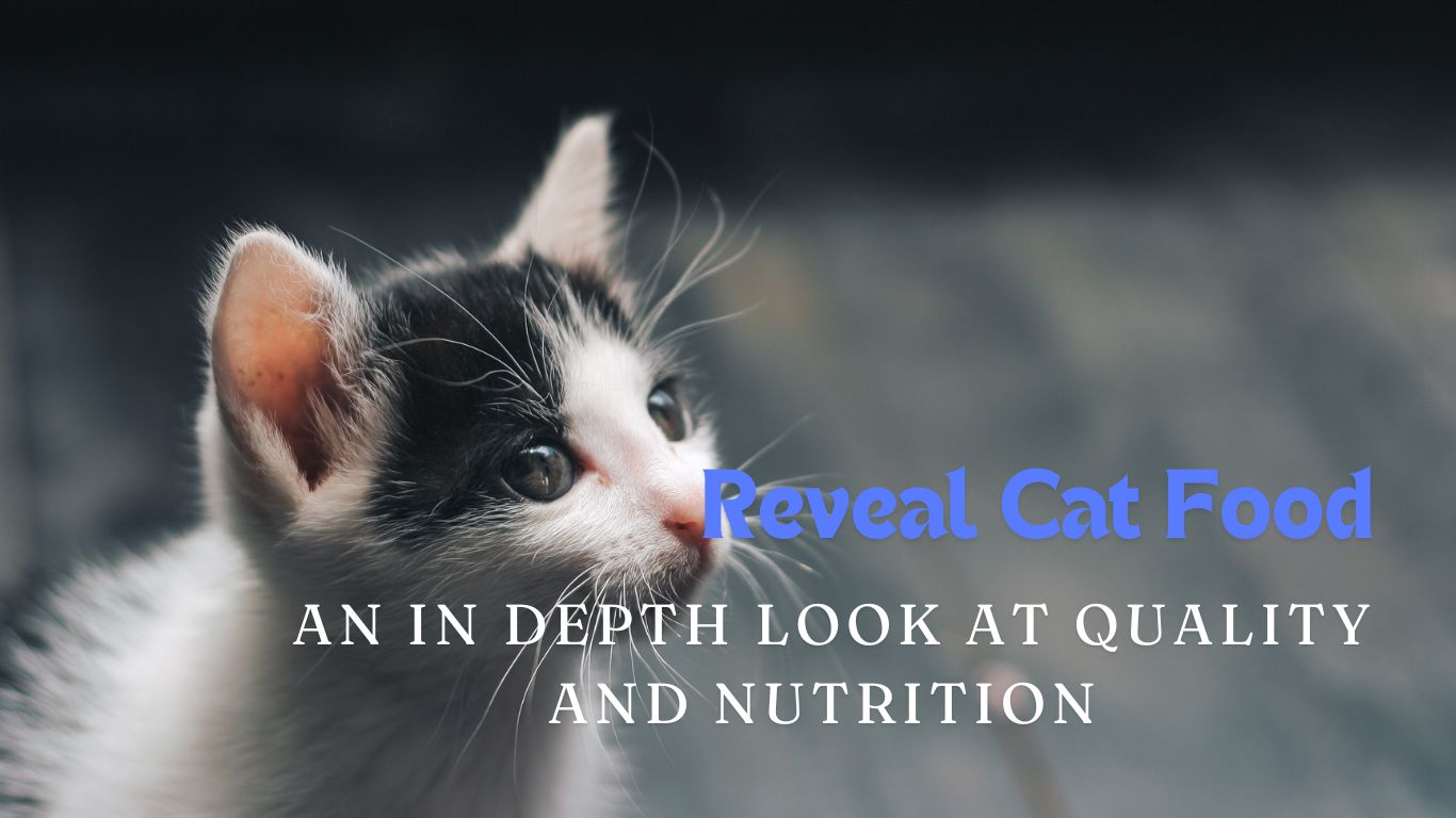 Reveal Cat Food