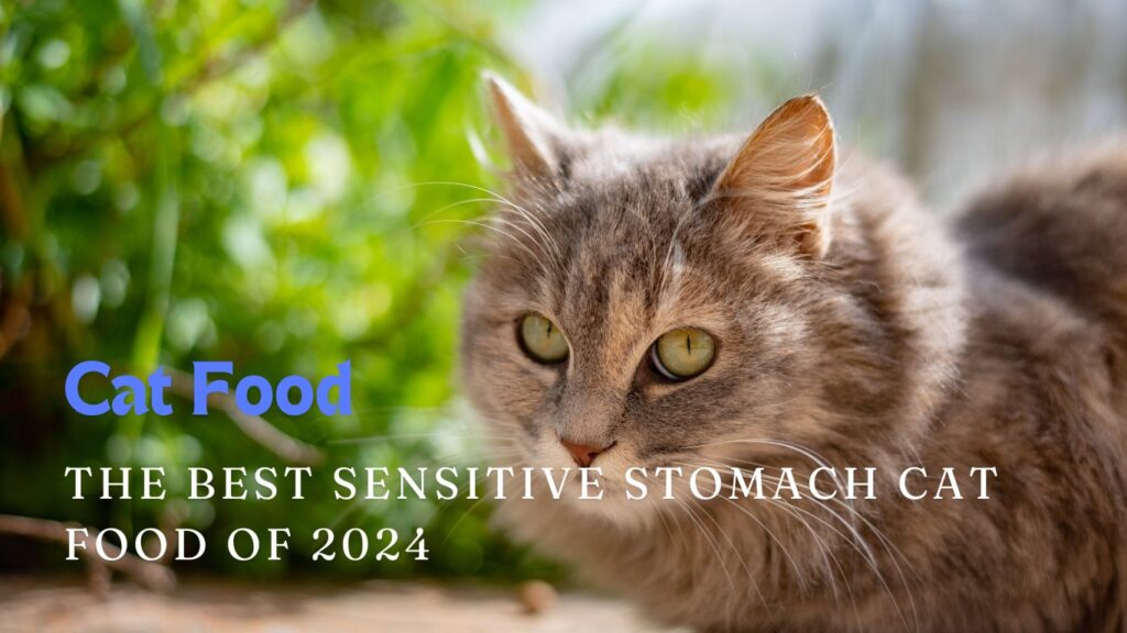 Sensitive Stomach Cat Food