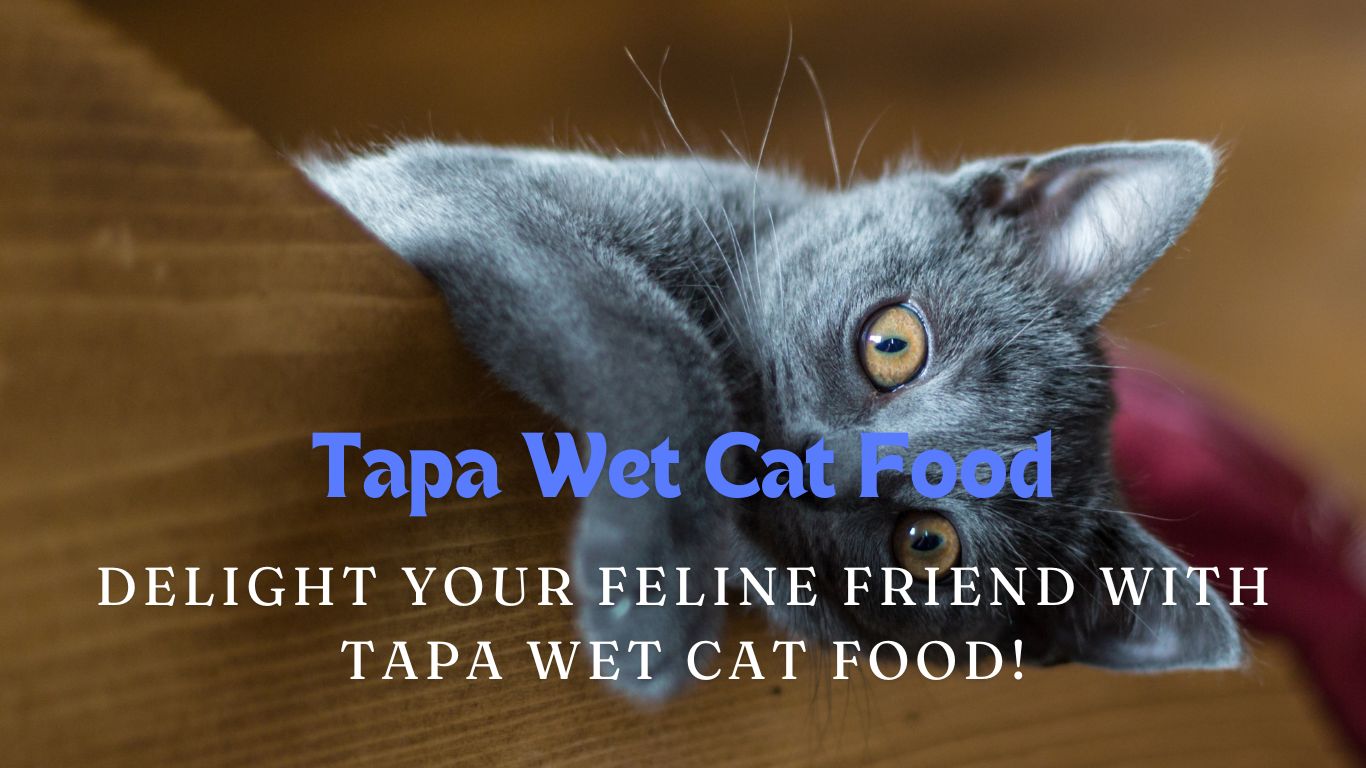 Tapa Wet Cat Food