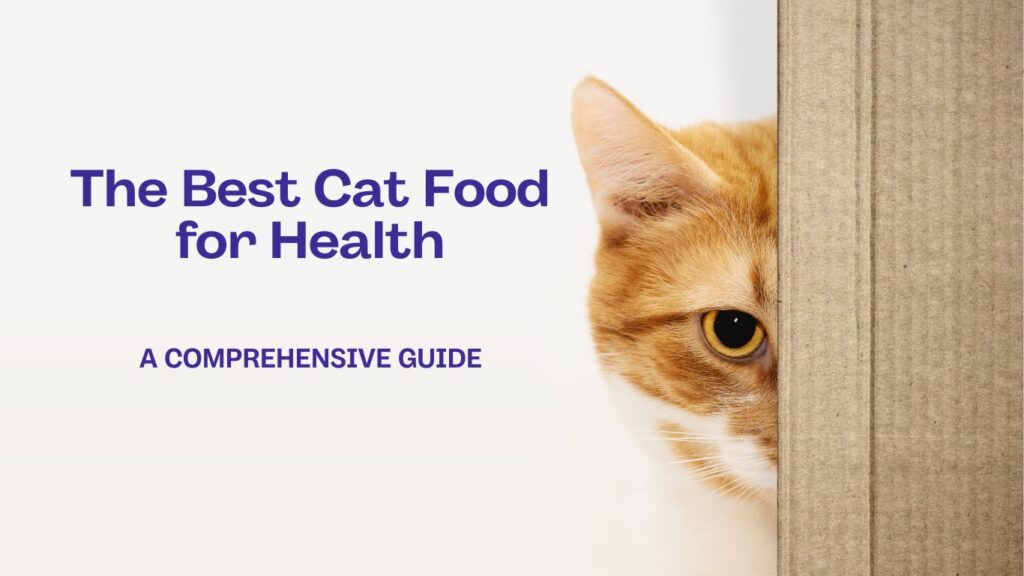 Best Cat Food