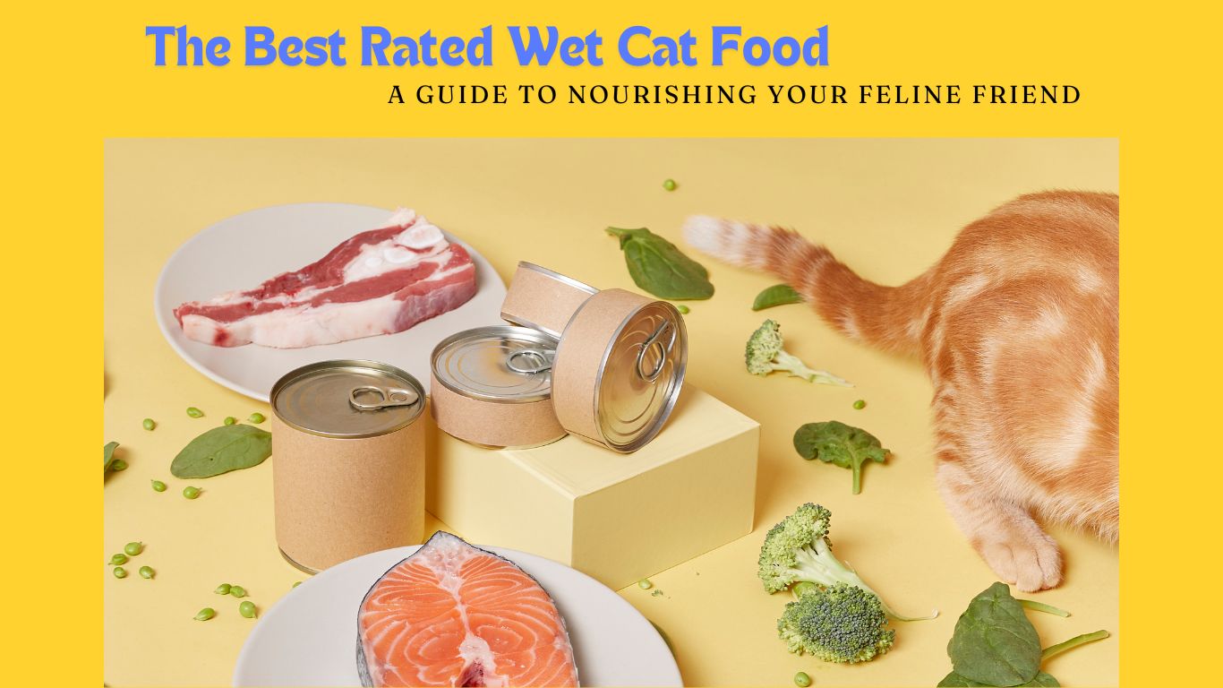 Wet Cat Food