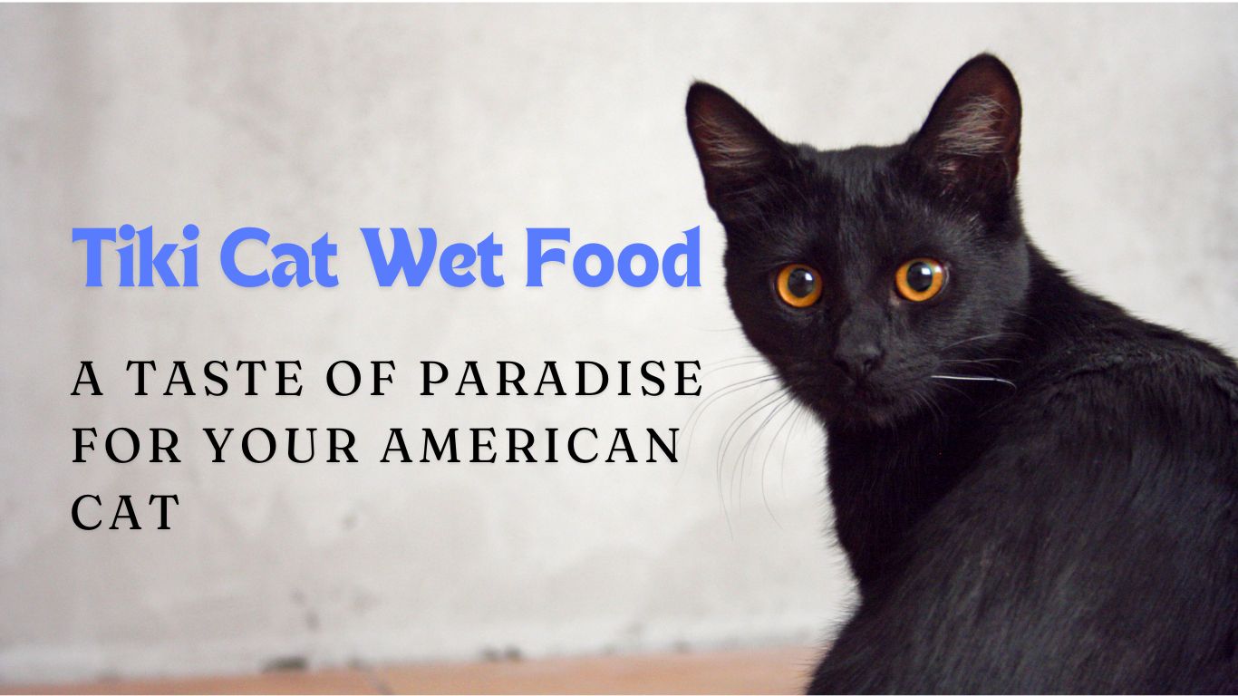 Tiki Cat Wet Food