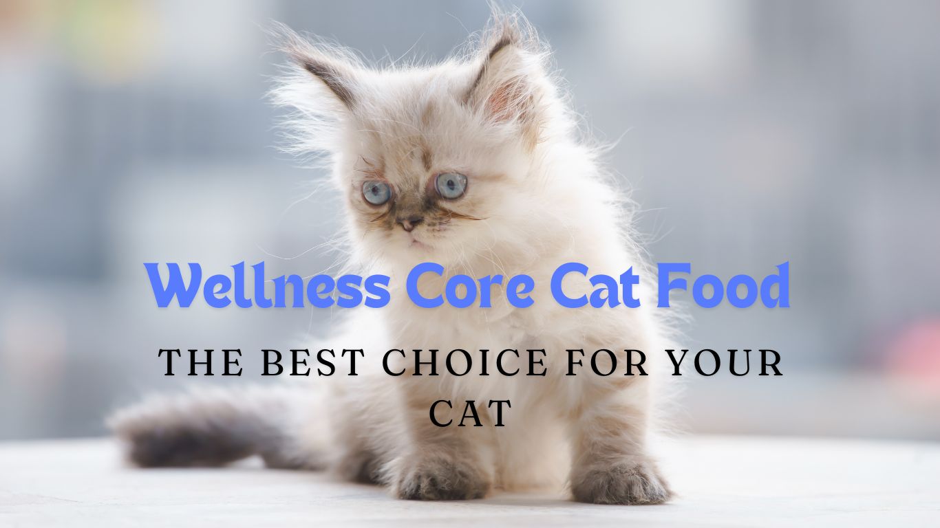 Wellness Core Cat Food