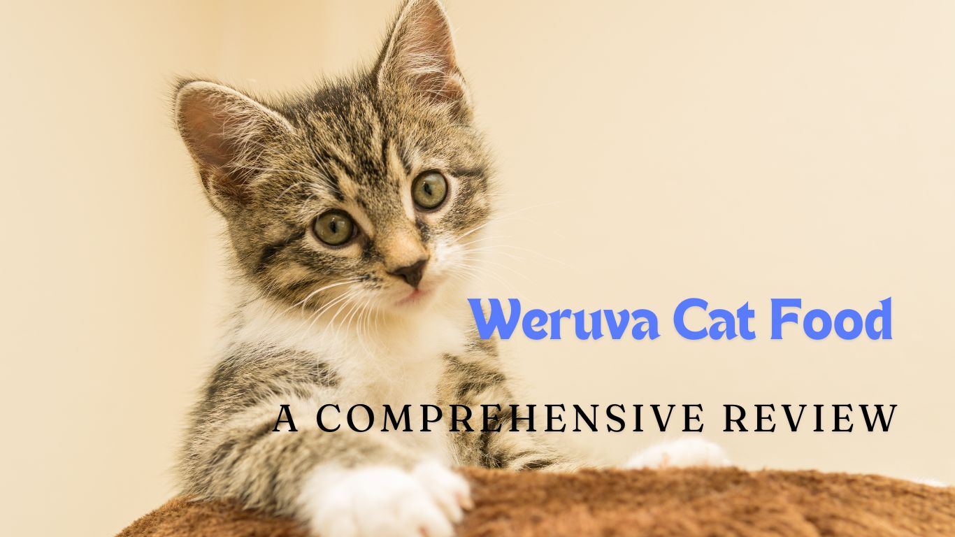 Weruva Cat Food