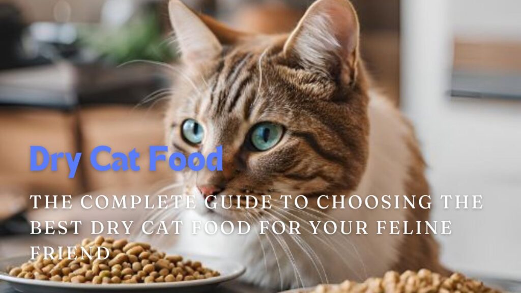 best dry cat food