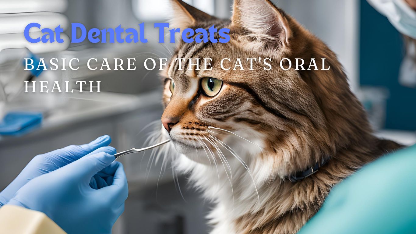 cat dental treats