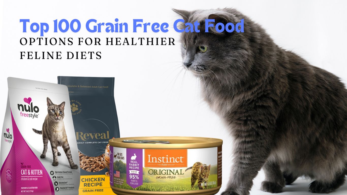 100 grain free cat food