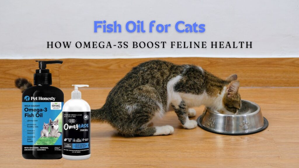 Fish Oil for Cats