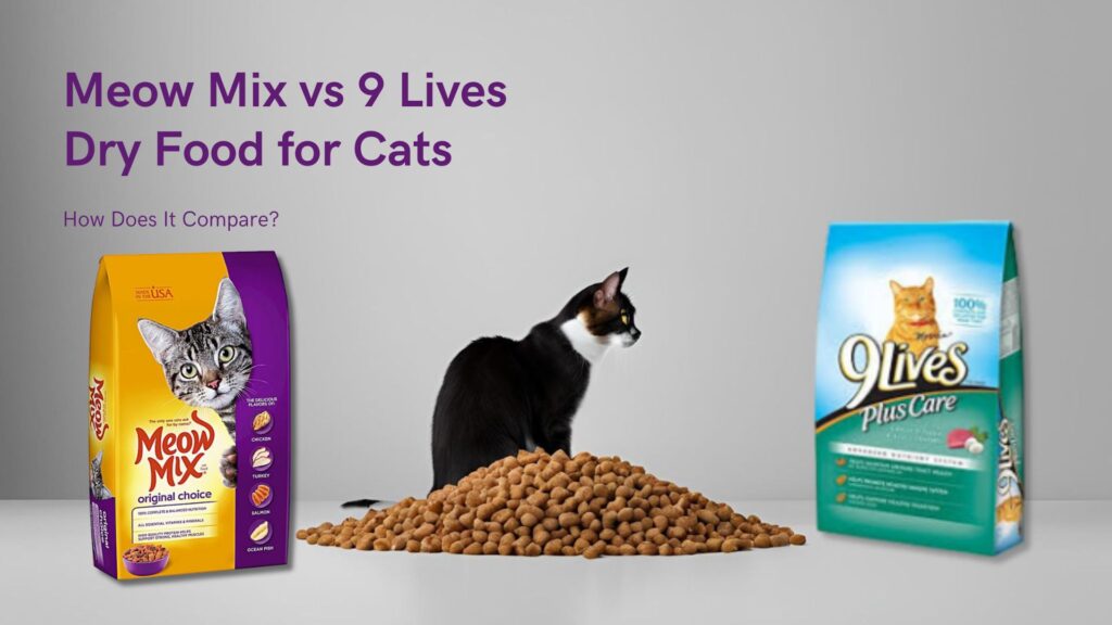 Meow Mix vs 9 Lives Dry Food for Cats