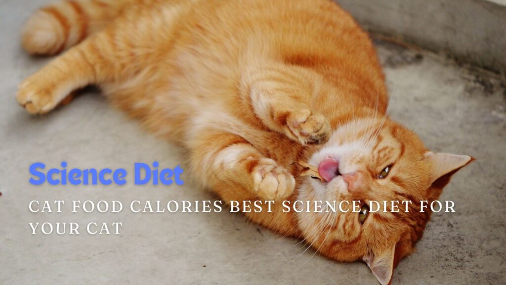 Science Diet Cat Food Calories