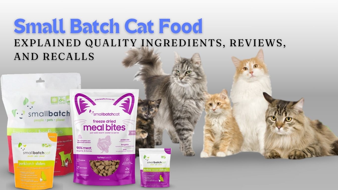 Small Batch Cat Food