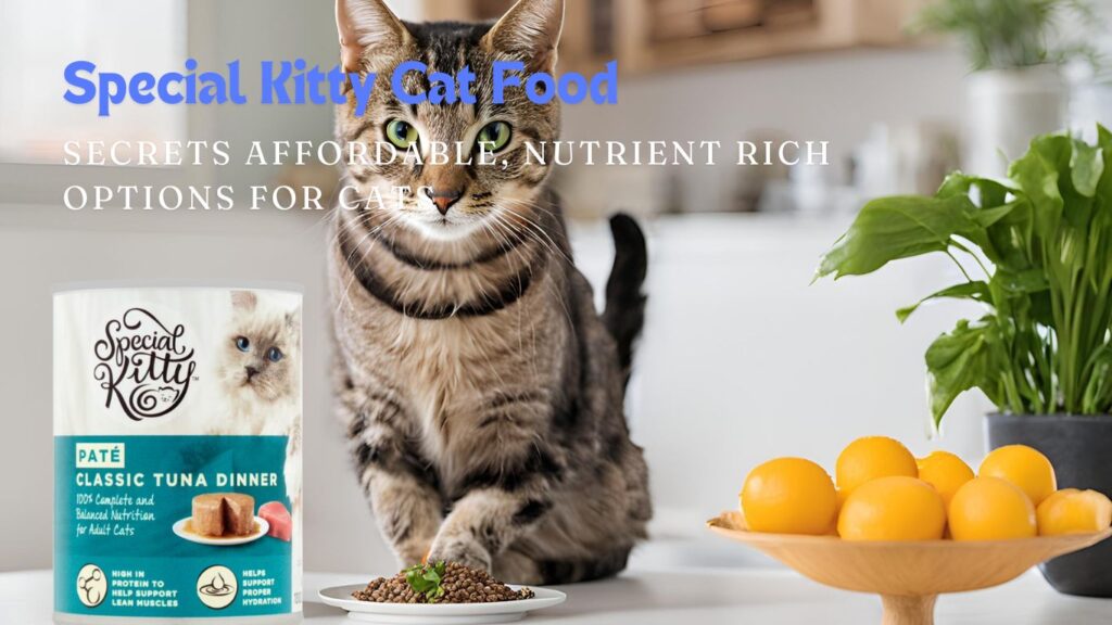 Special Kitty Cat Food