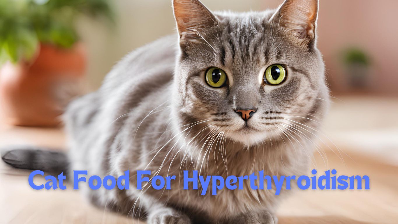 cat food for hyperthyroidism