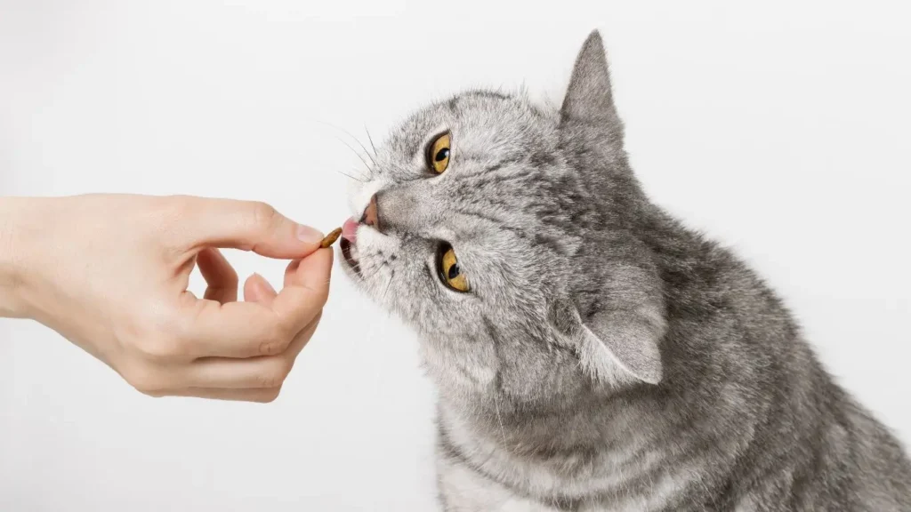 Diet for Diabetic Cats