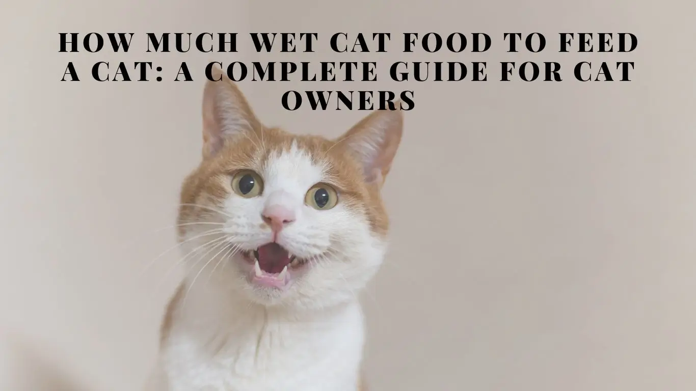 Wet Cat Food